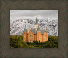 Load image into Gallery viewer, Provo Lifting Storm
