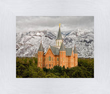Load image into Gallery viewer, Provo Lifting Storm
