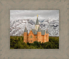 Load image into Gallery viewer, Provo Lifting Storm
