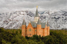 Load image into Gallery viewer, Provo Lifting Storm
