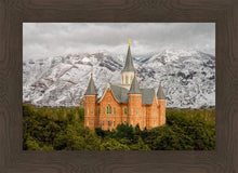 Load image into Gallery viewer, Provo Lifting Storm
