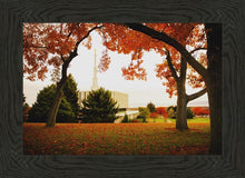 Load image into Gallery viewer, Provo Sanctuary
