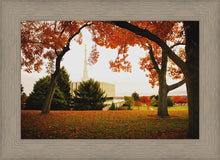 Load image into Gallery viewer, Provo Sanctuary
