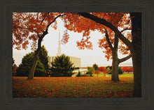 Load image into Gallery viewer, Provo Sanctuary
