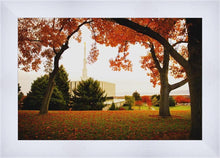 Load image into Gallery viewer, Provo Sanctuary
