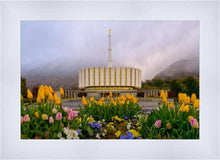 Load image into Gallery viewer, Provo Spring Tulips
