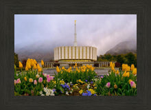 Load image into Gallery viewer, Provo Spring Tulips
