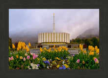 Load image into Gallery viewer, Provo Spring Tulips

