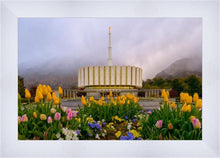 Load image into Gallery viewer, Provo Spring Tulips
