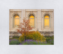 Load image into Gallery viewer, Salt Lake Autumn Detail
