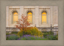 Load image into Gallery viewer, Salt Lake Autumn Detail
