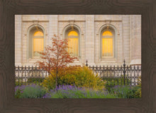 Load image into Gallery viewer, Salt Lake Autumn Detail
