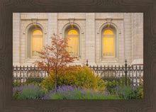 Load image into Gallery viewer, Salt Lake Autumn Detail
