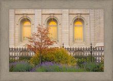 Load image into Gallery viewer, Salt Lake Autumn Detail
