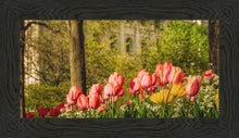 Load image into Gallery viewer, Salt Lake in the Garden
