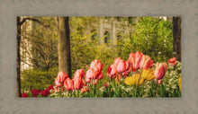 Load image into Gallery viewer, Salt Lake in the Garden
