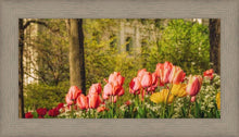Load image into Gallery viewer, Salt Lake in the Garden
