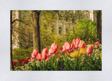 Load image into Gallery viewer, Salt Lake in the Garden

