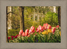 Load image into Gallery viewer, Salt Lake in the Garden
