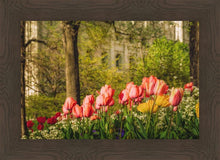 Load image into Gallery viewer, Salt Lake in the Garden

