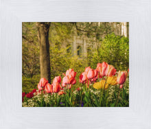 Load image into Gallery viewer, Salt Lake in the Garden
