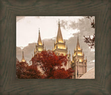 Load image into Gallery viewer, Salt Lake Temple 05
