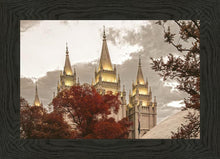 Load image into Gallery viewer, Salt Lake Temple 05
