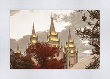 Load image into Gallery viewer, Salt Lake Temple 05
