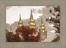 Load image into Gallery viewer, Salt Lake Temple 05
