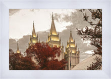 Load image into Gallery viewer, Salt Lake Temple 05
