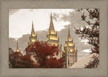 Load image into Gallery viewer, Salt Lake Temple 05
