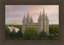 Load image into Gallery viewer, Salt Lake Temple Eternity

