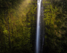 Load image into Gallery viewer, Akaka Falls Aloha
