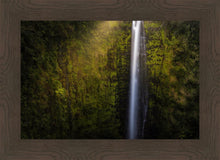 Load image into Gallery viewer, Akaka Falls Aloha
