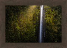 Load image into Gallery viewer, Akaka Falls Aloha
