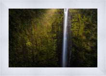 Load image into Gallery viewer, Akaka Falls Aloha
