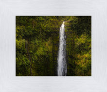 Load image into Gallery viewer, Akaka Falls, Hawaii
