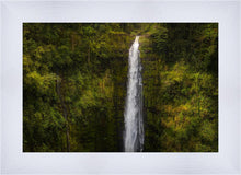 Load image into Gallery viewer, Akaka Falls, Hawaii
