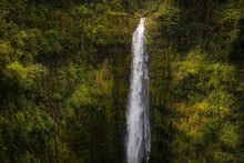 Load image into Gallery viewer, Akaka Falls, Hawaii

