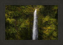 Load image into Gallery viewer, Akaka Falls, Hawaii

