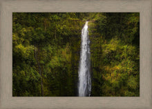 Load image into Gallery viewer, Akaka Falls, Hawaii
