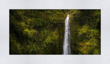 Load image into Gallery viewer, Akaka Falls, Hawaii
