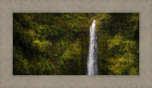Load image into Gallery viewer, Akaka Falls, Hawaii

