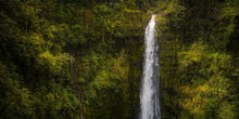 Load image into Gallery viewer, Akaka Falls, Hawaii
