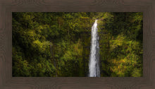 Load image into Gallery viewer, Akaka Falls, Hawaii
