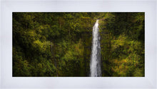 Load image into Gallery viewer, Akaka Falls, Hawaii

