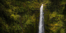 Load image into Gallery viewer, Akaka Falls, Hawaii
