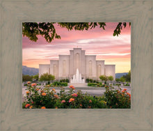 Load image into Gallery viewer, Albuquerque Morning Rose
