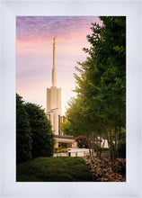 Load image into Gallery viewer, Atlanta Garden
