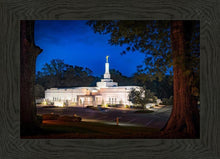Load image into Gallery viewer, Baton Rouge and the Louisiana Blues
